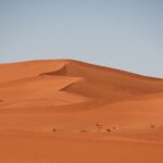 AWS's Ongewilde Primeur