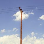 Onderzoek naar Glasvezel op Palen van Start