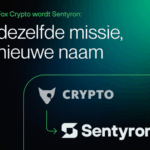 Sentyron: Betrouwbare Bescherming van Waardevolle Bezittingen